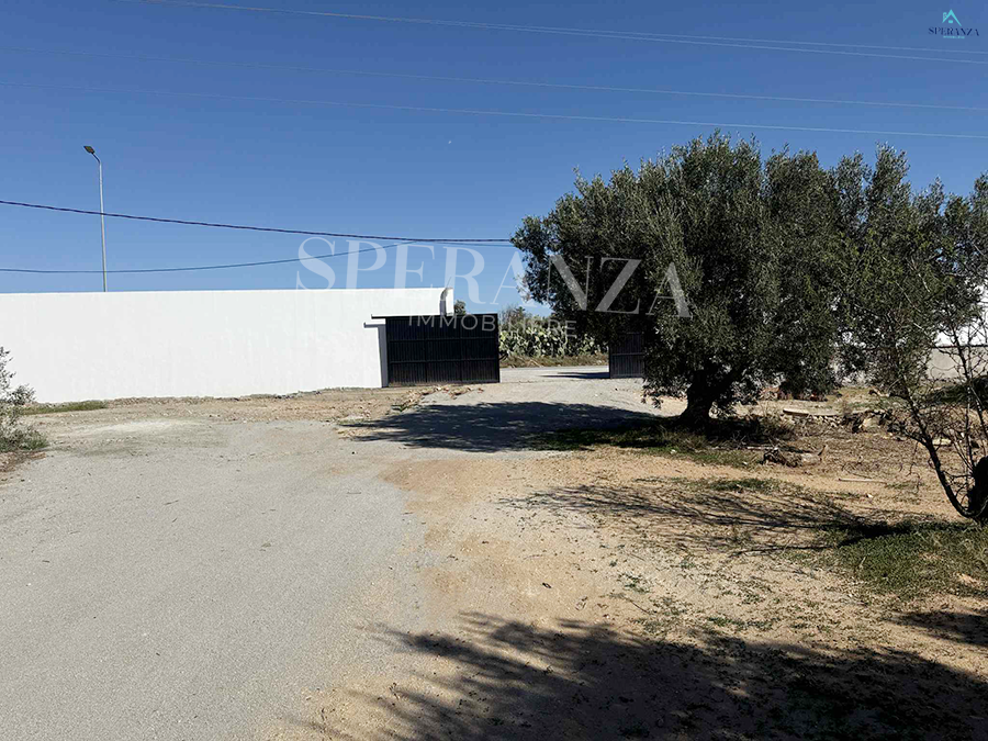 Hammamet Hammamet Vente Surfaces Terrain abie