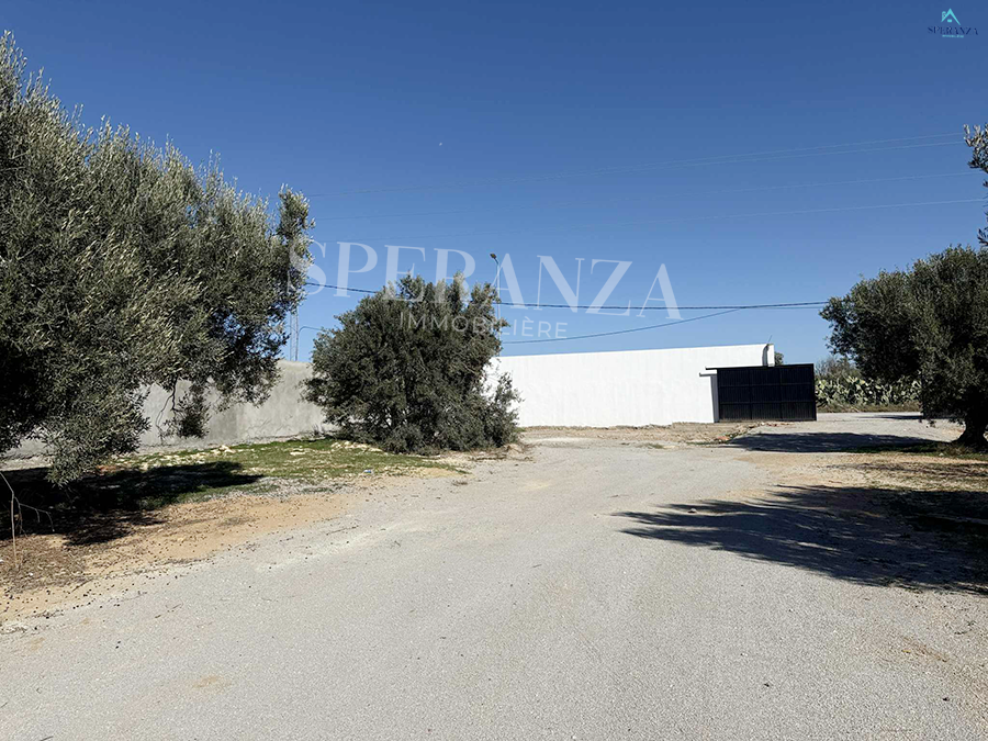 Hammamet Hammamet Vente Surfaces Terrain abie