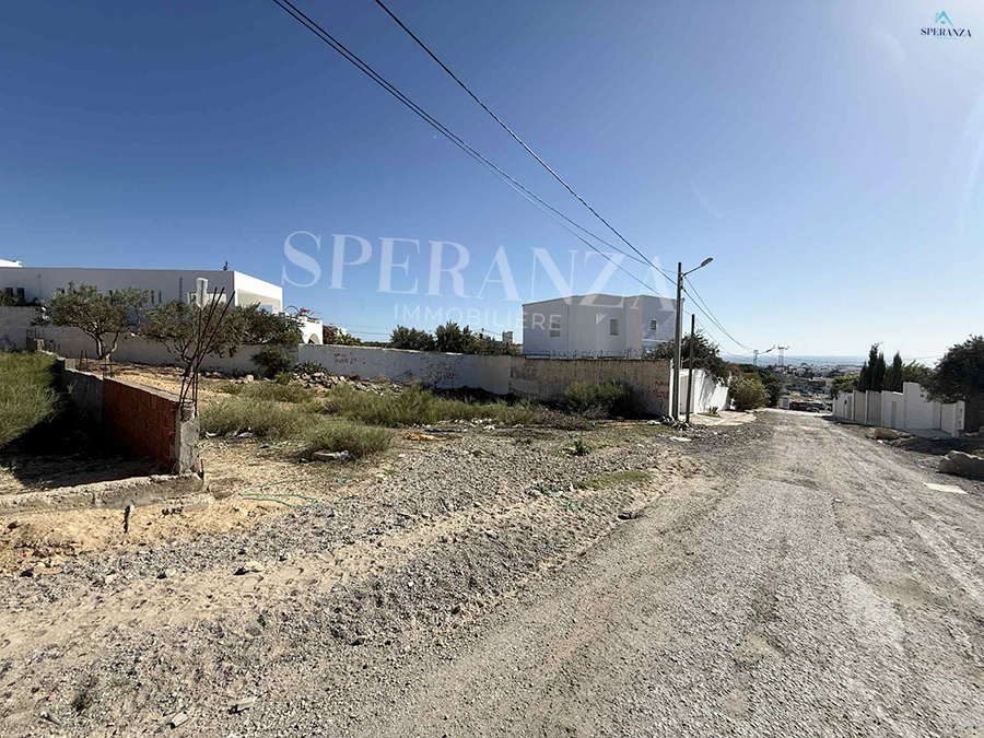 Hammamet Hammamet Vente Surfaces Terrain oceani