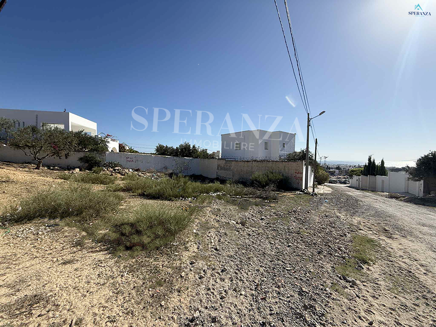 Hammamet Hammamet Vente Surfaces Terrain oceani