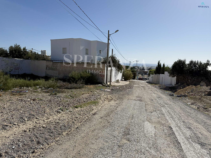 Hammamet Hammamet Vente Surfaces Terrain oceani