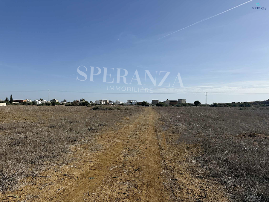 Hammamet Hammamet Vente Surfaces Terrain alta