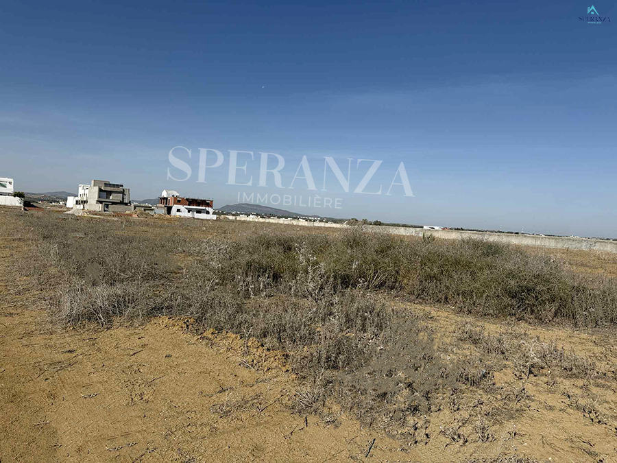 Hammamet Hammamet Vente Surfaces Terrain lune