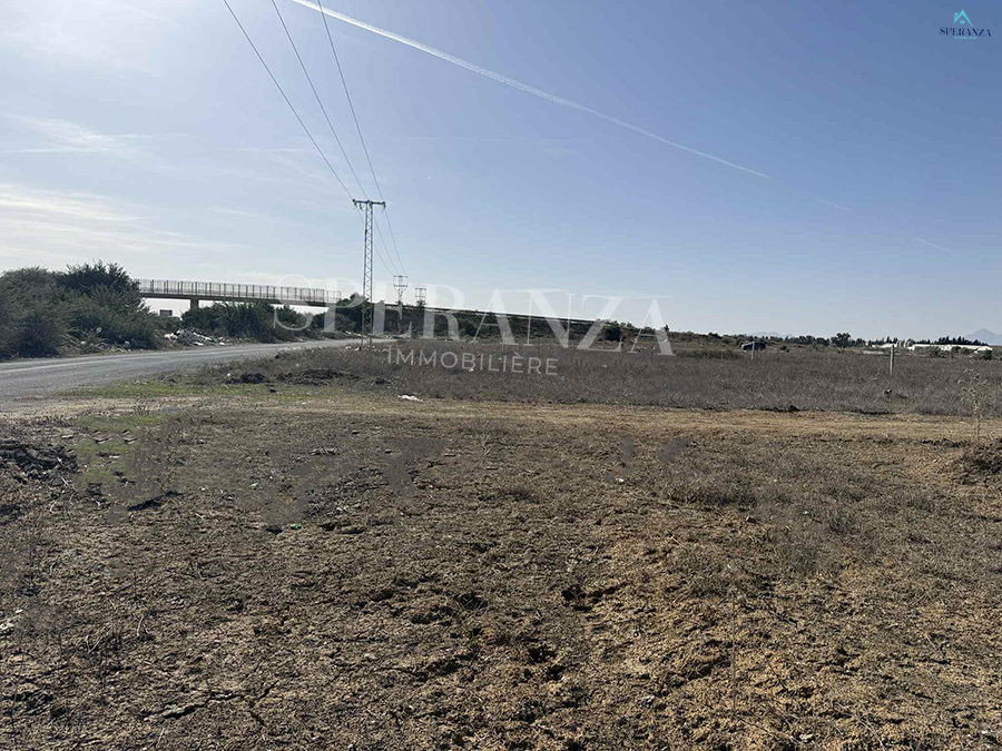 Hammamet Hammamet Vente Surfaces Terrain lune