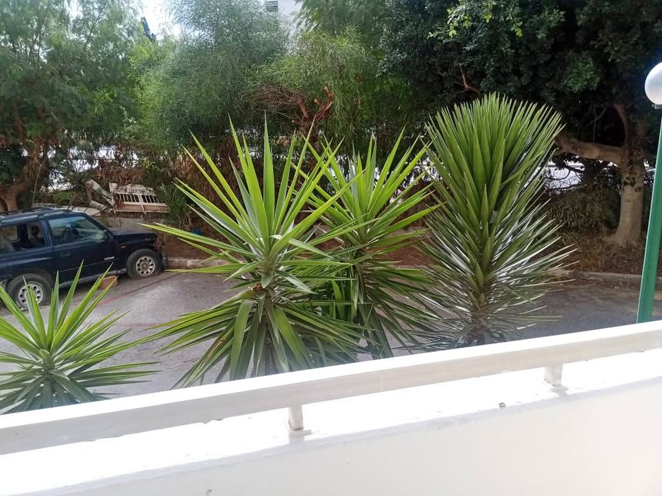 Ariana Ville El Menzah 6 Location Appart. 2 pices S2 situ  menzah 6