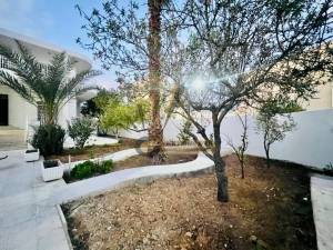 Ariana Ville Borj El Baccouche Location Maisons  dune villa s5  ariana ref374a