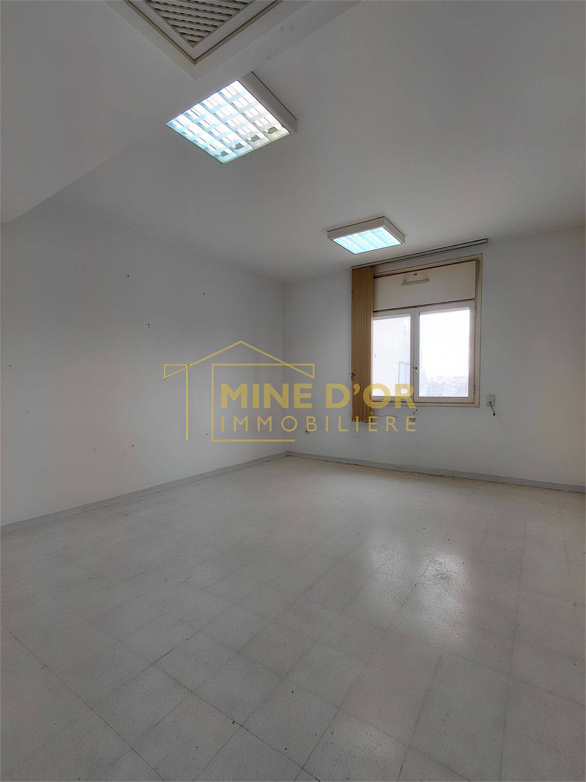 Bab Bhar Republique Bureaux & Commerces Bureau Av bureau h2 avec vue dgag sur lac  tunis