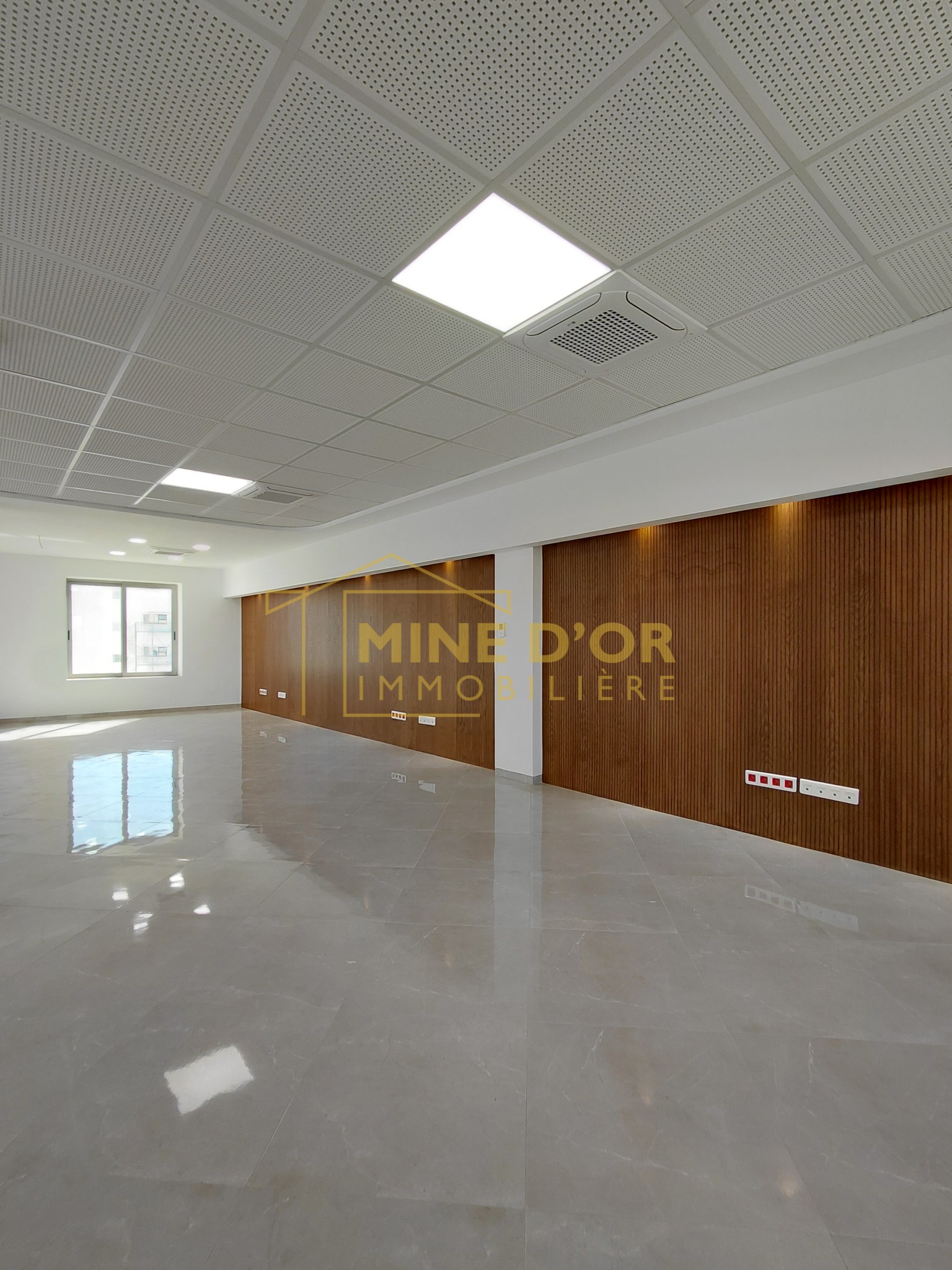 La Marsa Berge Du Lac Bureaux & Commerces Bureau Al un bureau retap  neuf en open space au lac 1