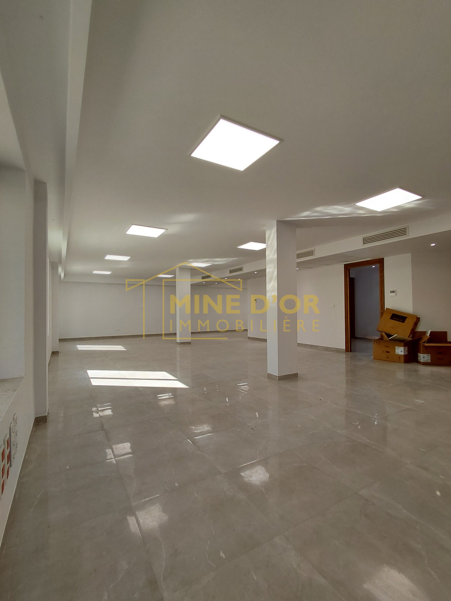 La Marsa Berge Du Lac Bureaux & Commerces Bureau Al plateau en open space 200 m2 au lac 1