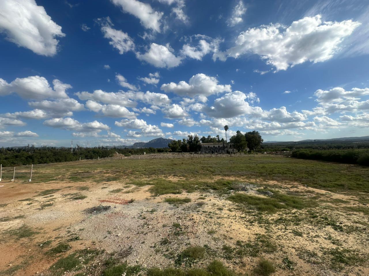 Mornag Ouzra Terrain Terrain agricole Un hectare irrigu et clotur  mornag