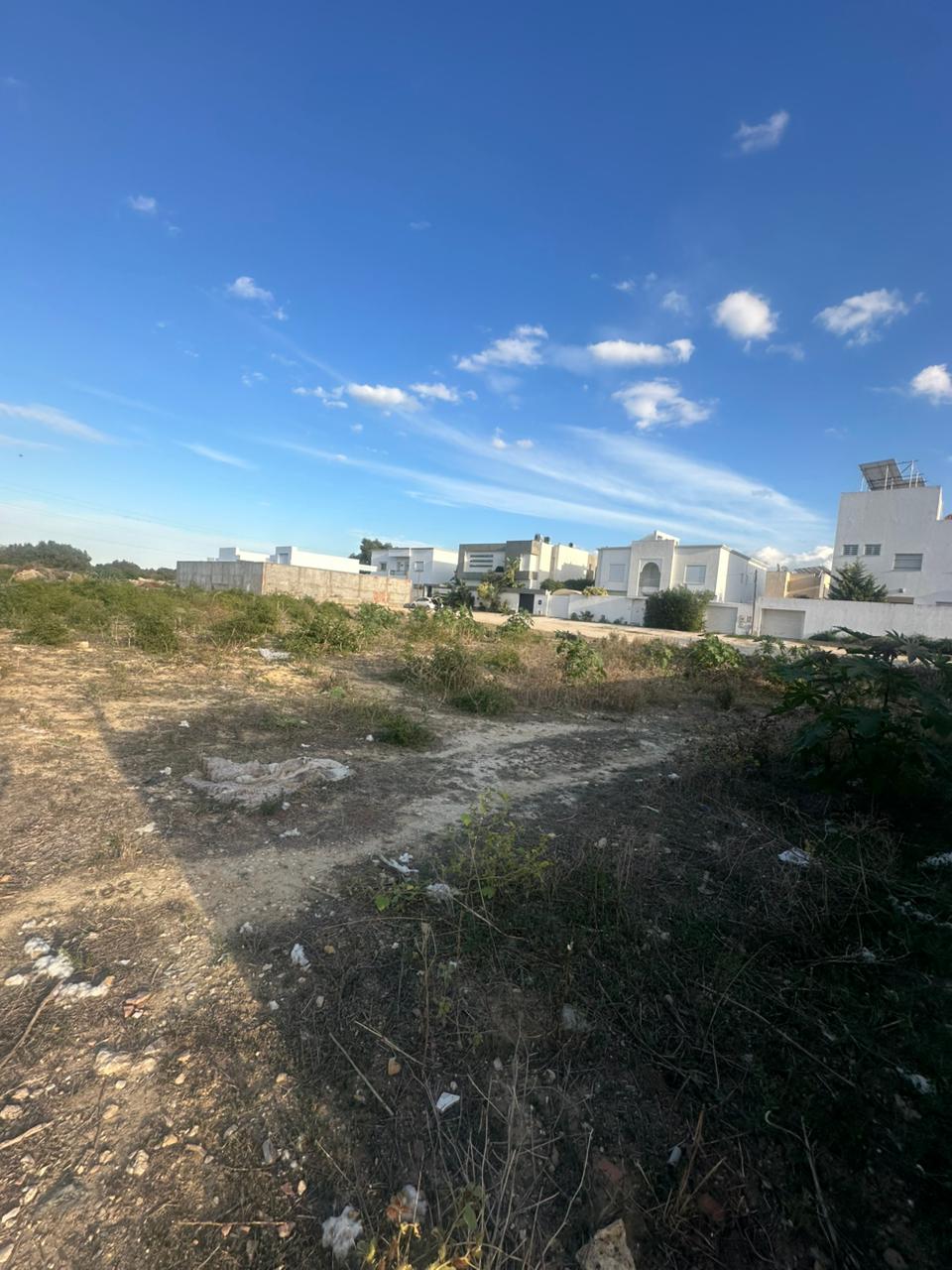 Mornag Ouzra Terrain Terrain agricole Un hectare irrigu et clotur  mornag