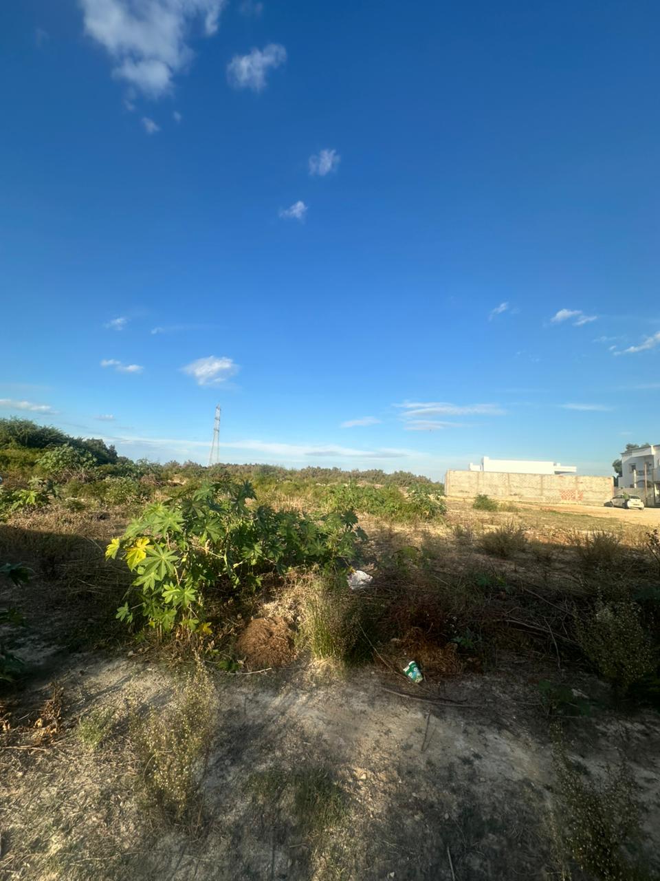 Mornag Ouzra Terrain Terrain agricole Un hectare irrigu et clotur  mornag