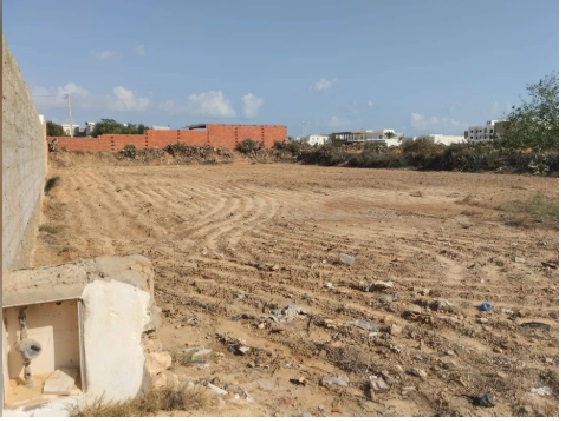 Sakiet Eddaier Essaltania Terrain Terrain nu Opportunit  saisir