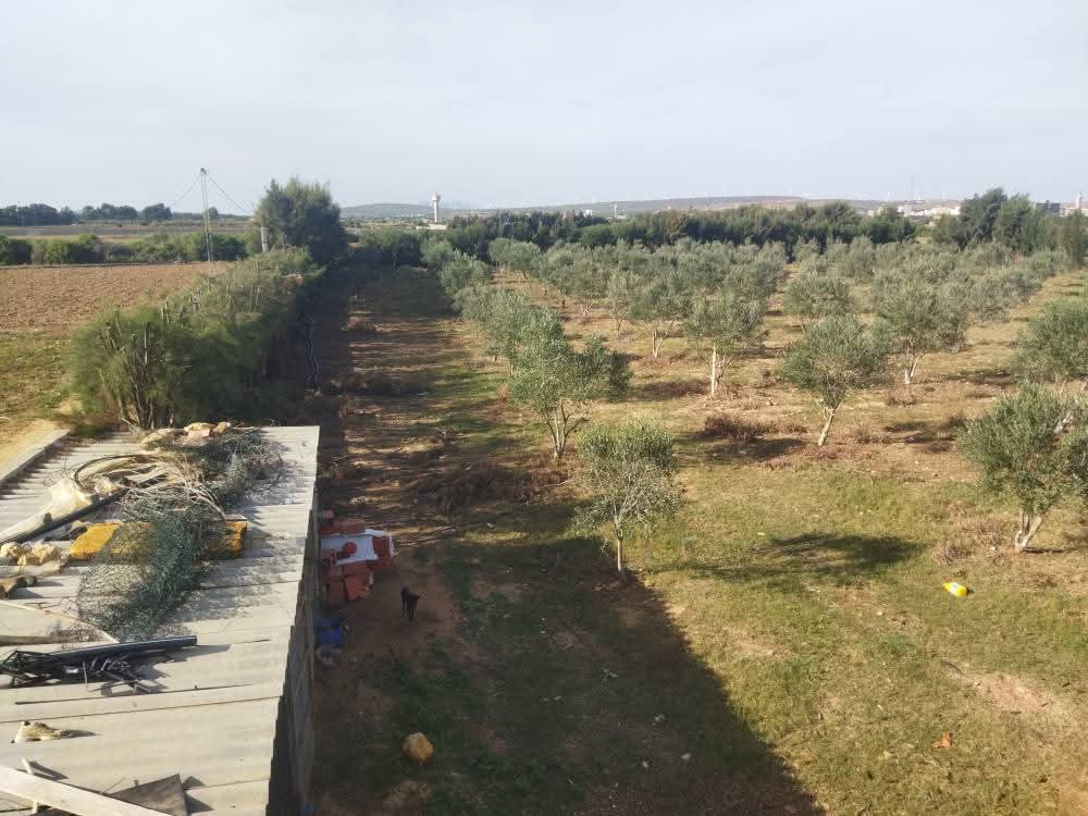 El Haouaria El Haouaria Terrain Terrain agricole Ferme bien quipes