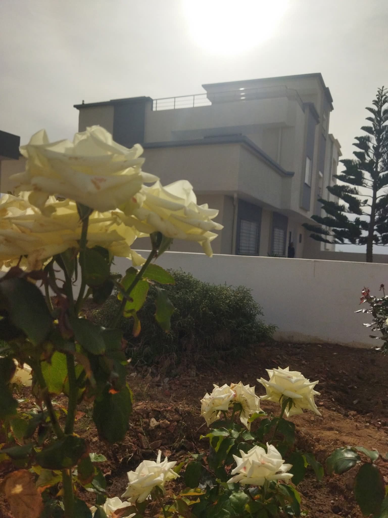 El Haouaria El Haouaria Vente Maisons Villa luxueuse s4 et de vue panoramique