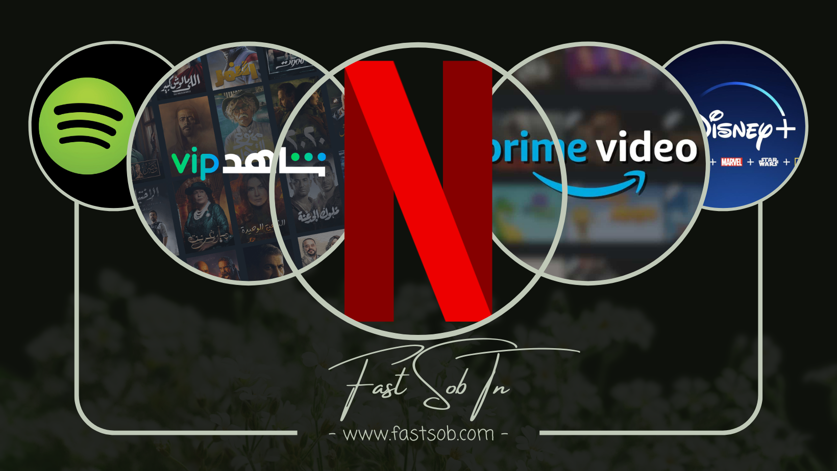 Sahline Sahline Autre Autre Netflix amazon prime video et spotify shahid vip
