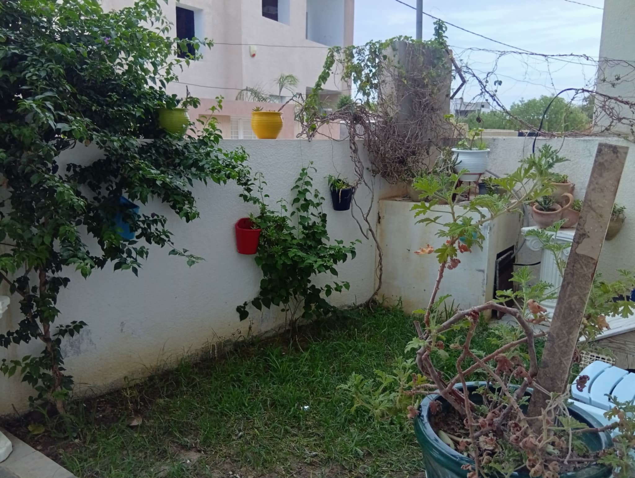 Kelibia Kelibia Location Maisons Maison meuble  klebia