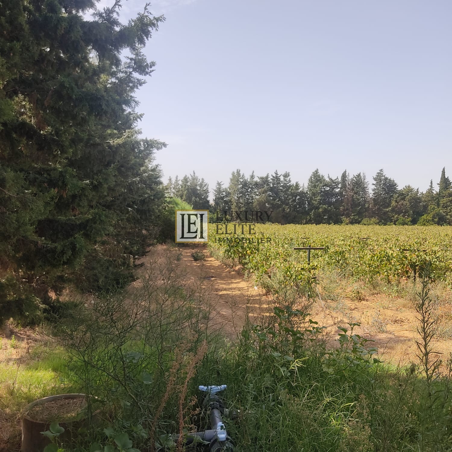 Takelsa Sidi Issa Terrain Terrain agricole Une belle ferme  takelsa