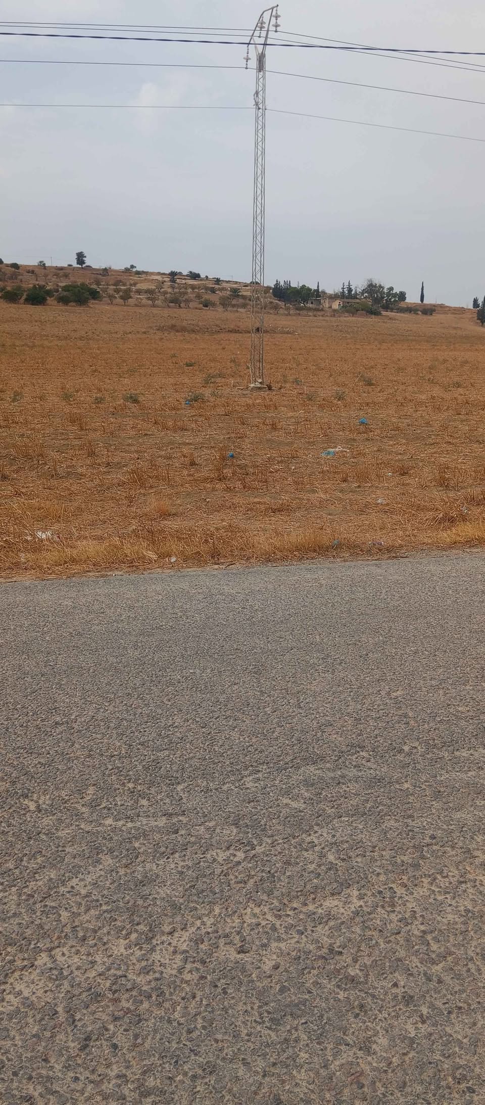 Mejez El Bab Sidi Mediene Terrain Terrain agricole Terrain au bord de route