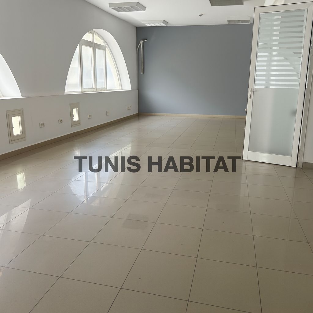 La Marsa Berge Du Lac Bureaux & Commerces Bureau Lac 1 bureau 300 m2