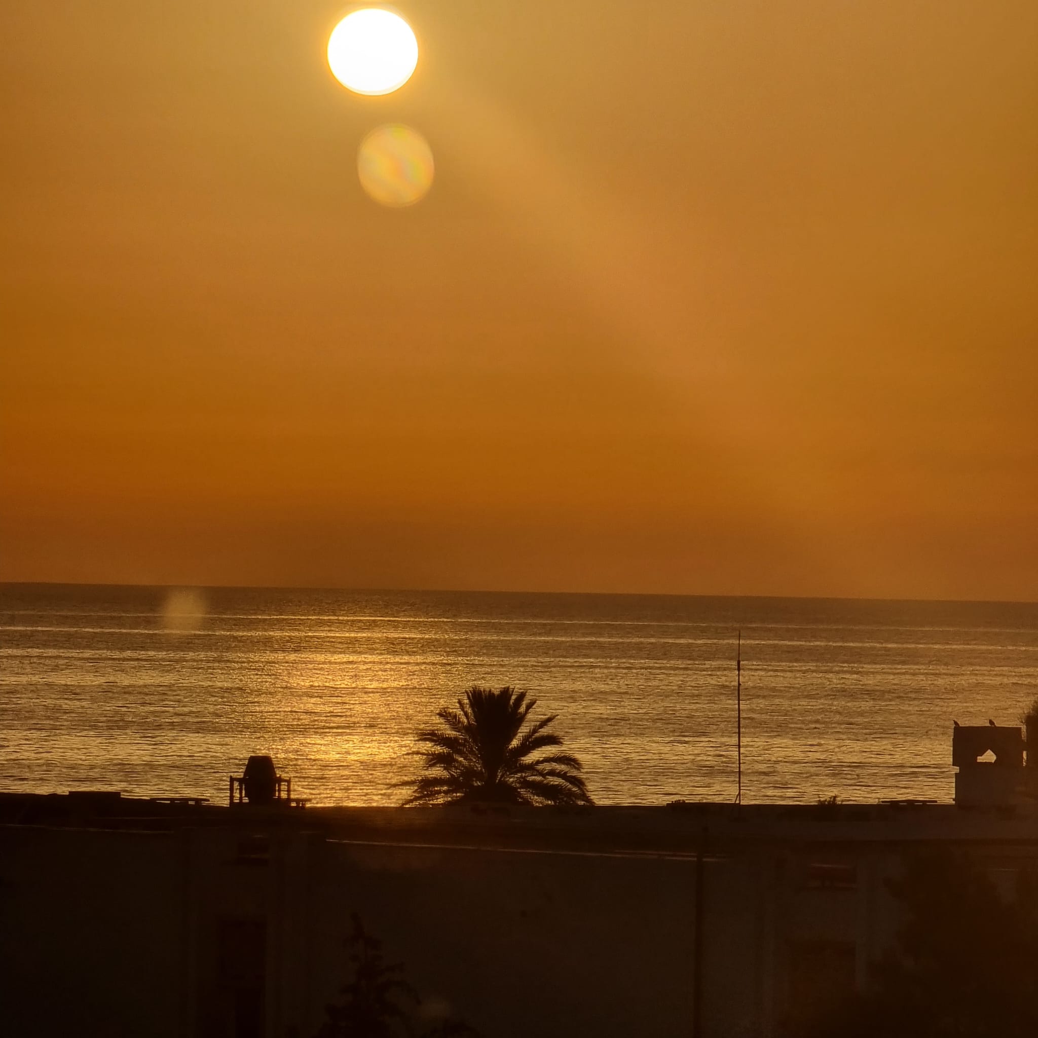 Sousse Jaouhara Sousse Khezama Location Appart. 2 pices Appartement de luxe