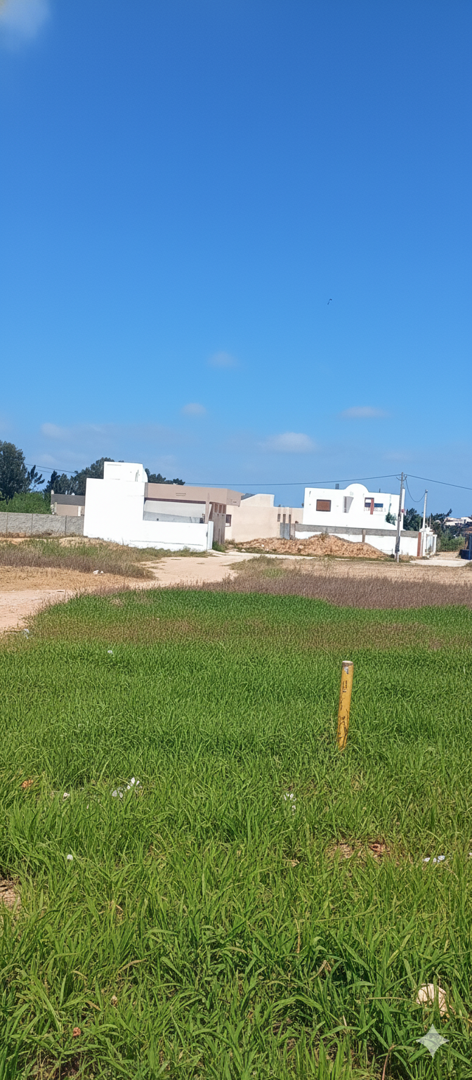 Kelibia Kelibia Terrain Terrain agricole Terrain a klibia