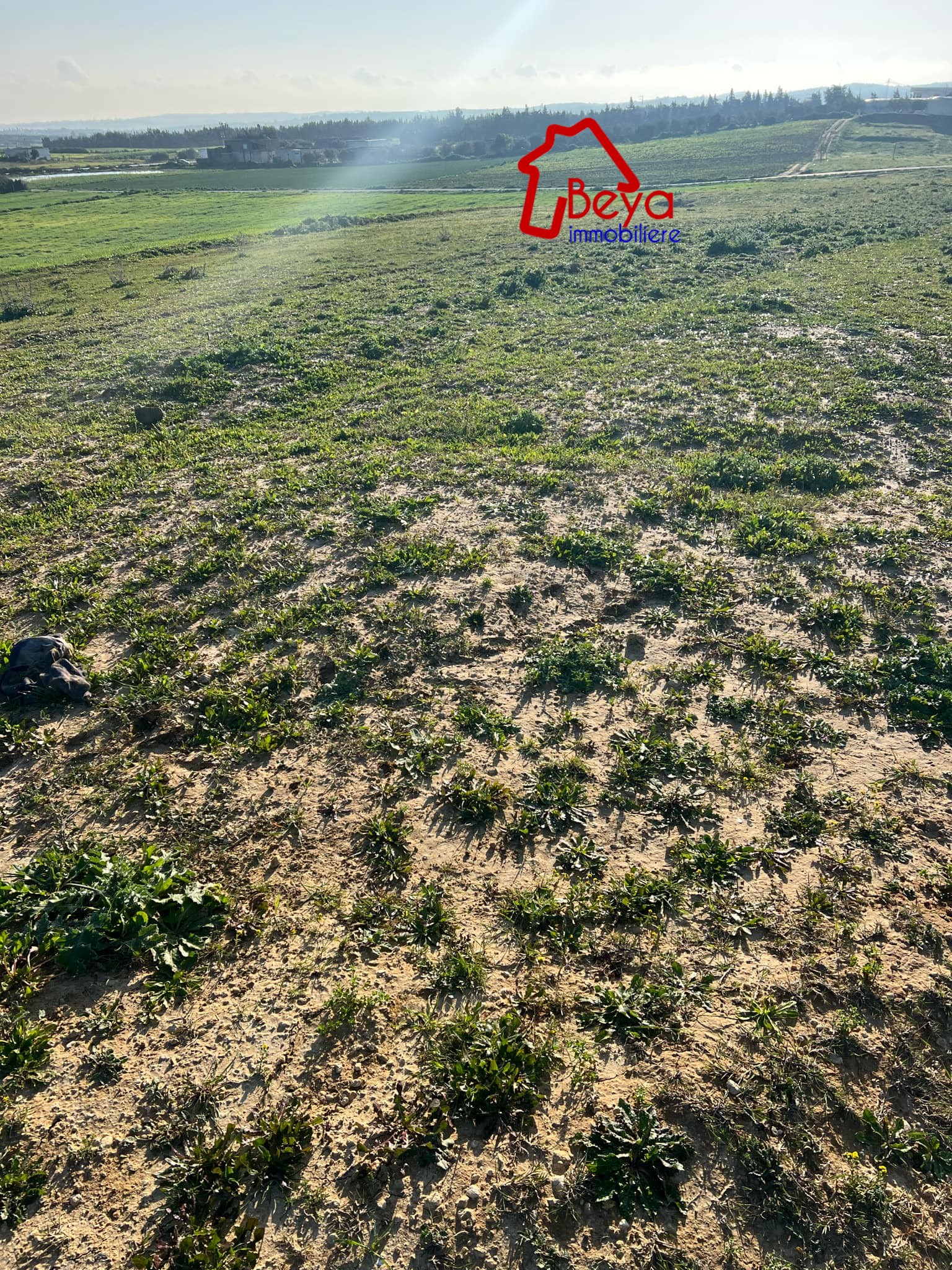 Beni Khalled Beni Khalled Terrain Terrain agricole Terrain pointe vtm011