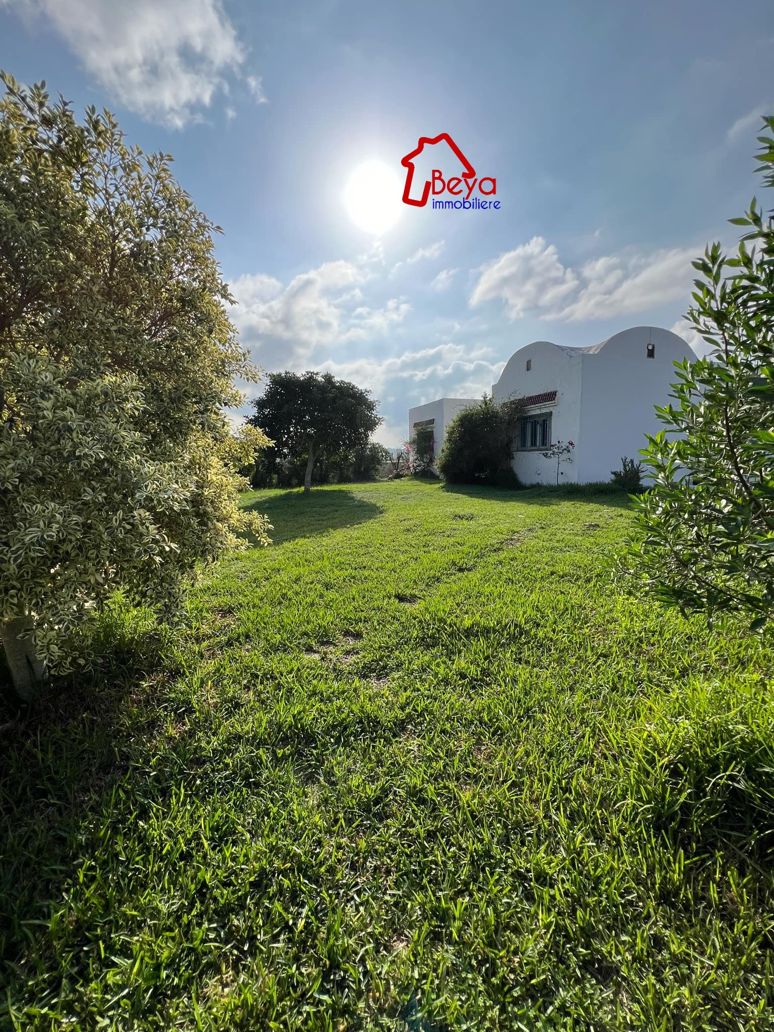 Korba Korba Terrain Terrain agricole Terrain victoria vtn080