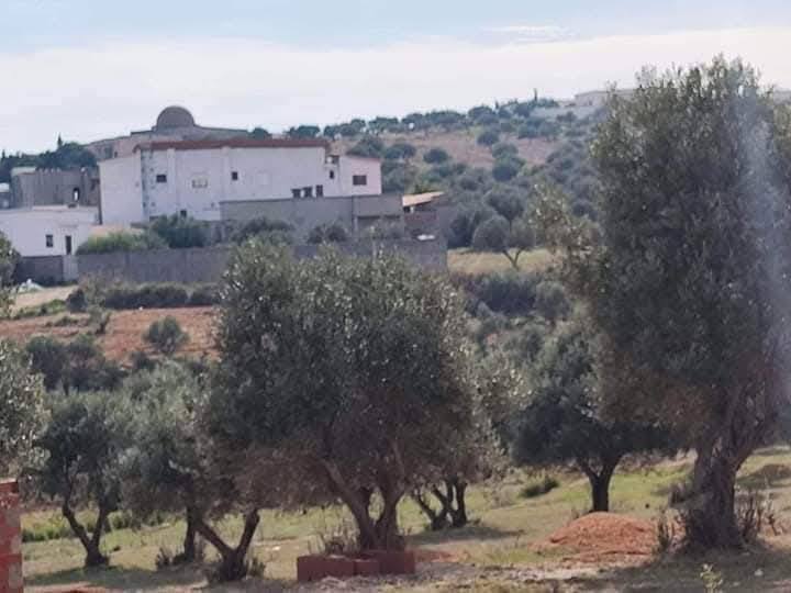 Mannouba La Mannouba Terrain Terrain nu Deux lot bien placer a sanhaja