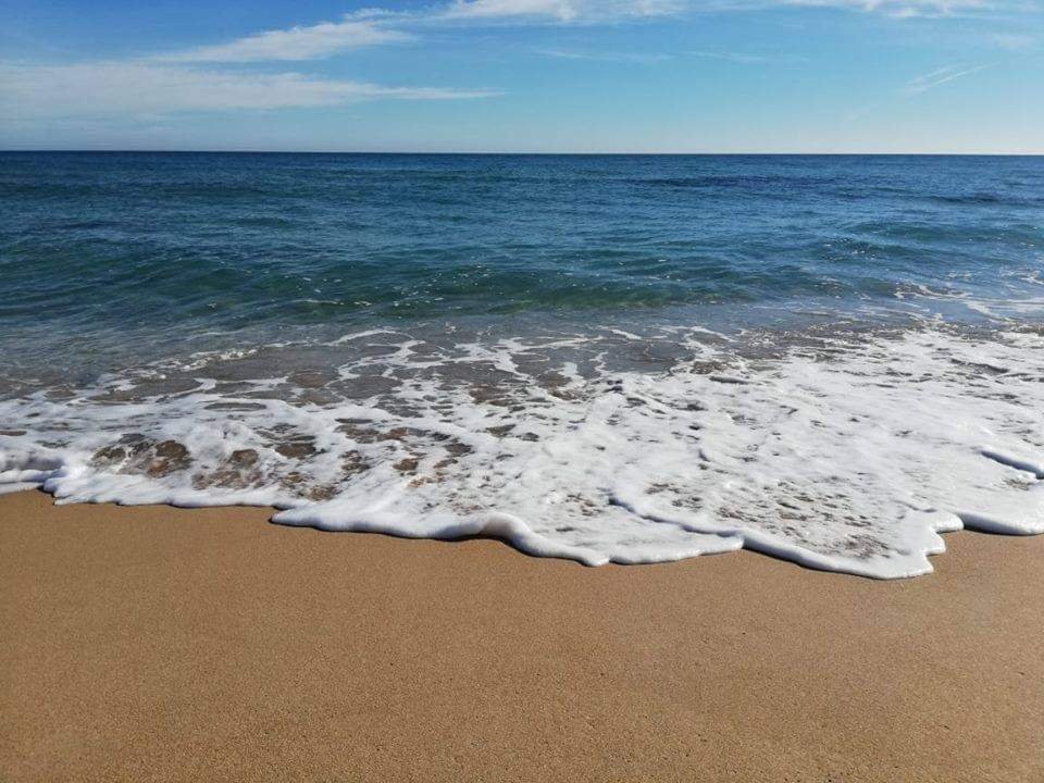 El Haouaria&nbsp;El Haouaria&nbsp;Terrain&nbsp;Terrain nu&nbsp;Hawaria chat kebli