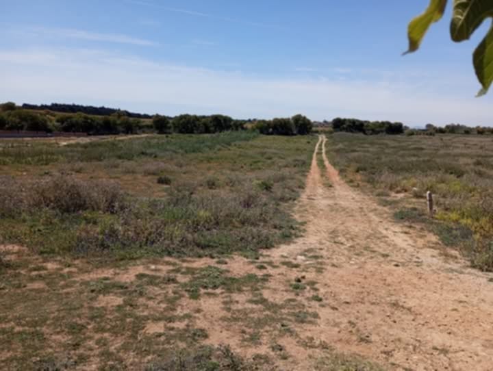 El Haouaria&nbsp;El Haouaria&nbsp;Terrain&nbsp;Terrain nu&nbsp;Hawaria chat kebli