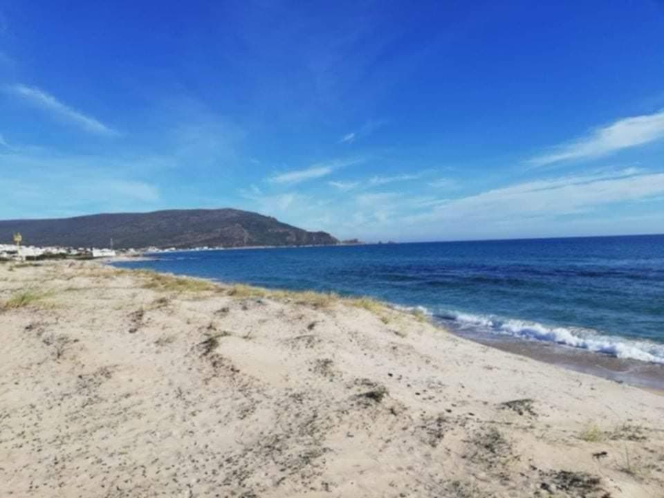 El Haouaria&nbsp;El Haouaria&nbsp;Terrain&nbsp;Terrain nu&nbsp;Offre fin d'annee hawaria