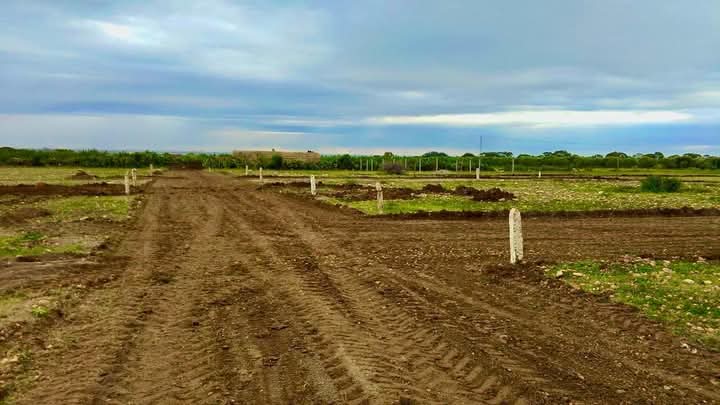 Bou Ficha&nbsp;Bou Ficha&nbsp;Terrain&nbsp;Terrain nu&nbsp;Investissement terrain bouficha