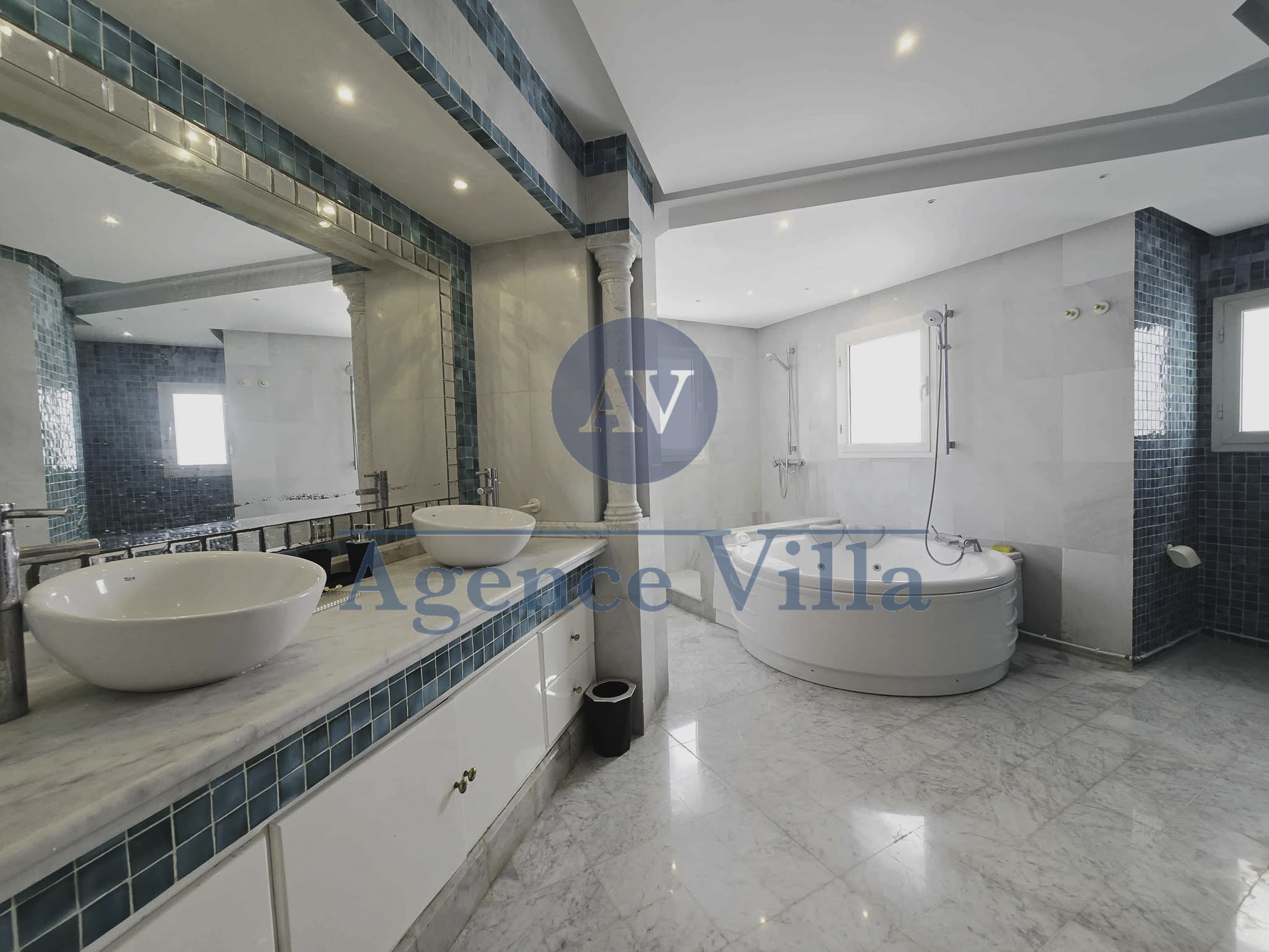 La Soukra La Soukra Vente Maisons Une villa de maitre  la soukra