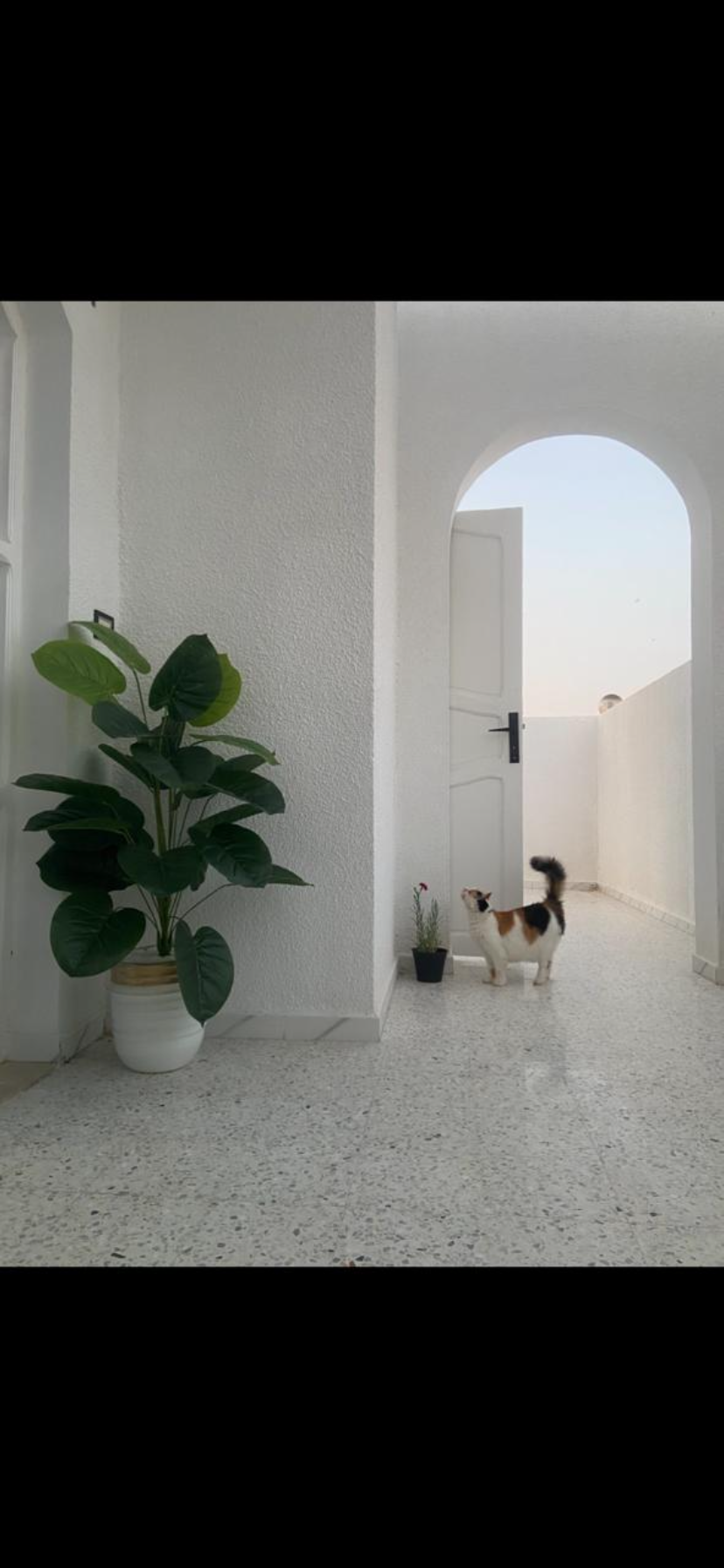 Sousse Riadh Sousse Riadh Vente Maisons Villa  sousse