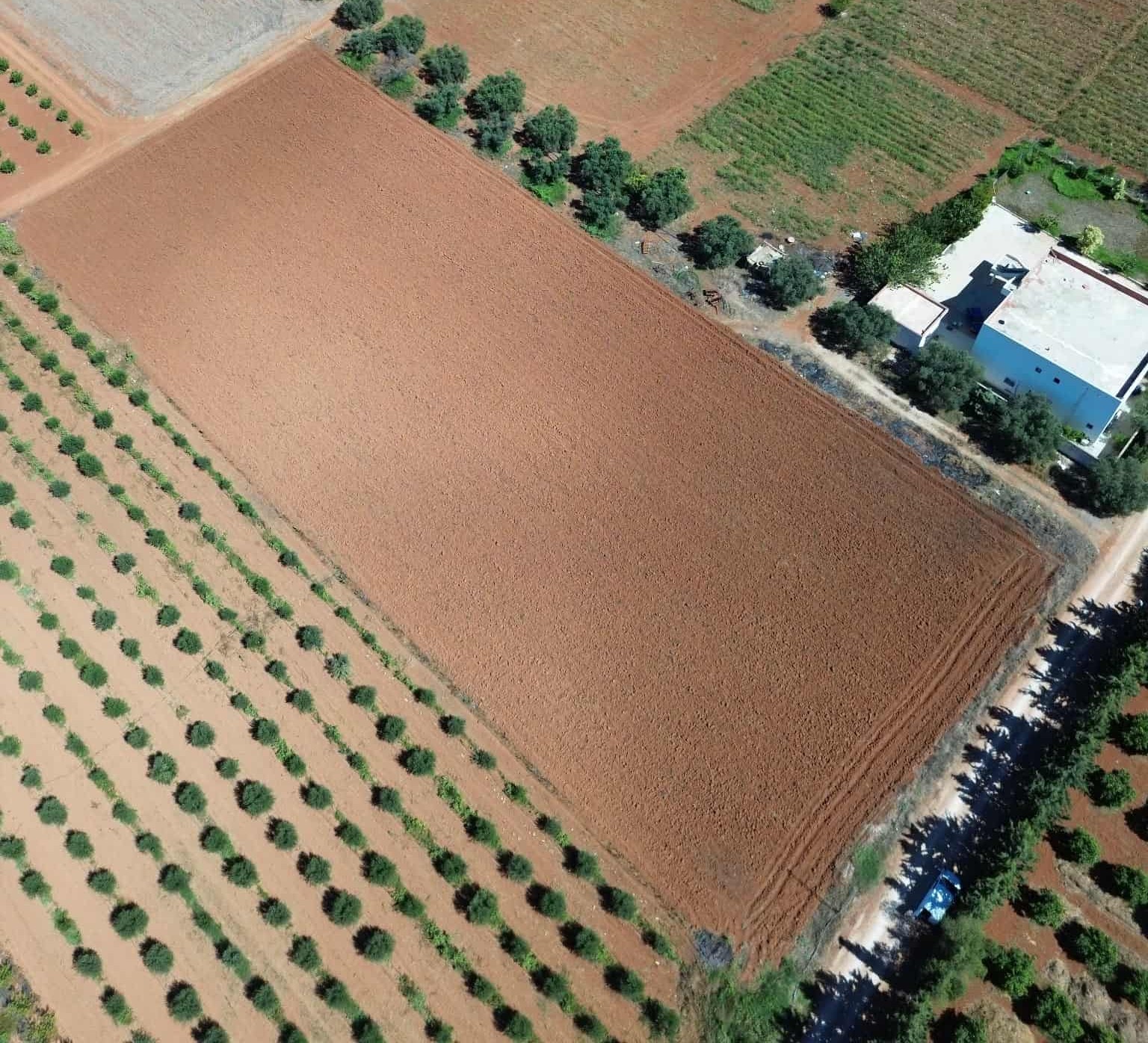 Sidi Thabet Sidi Thabet Terrain Terrain nu Terrain nu de 1000m2  sidi thabet