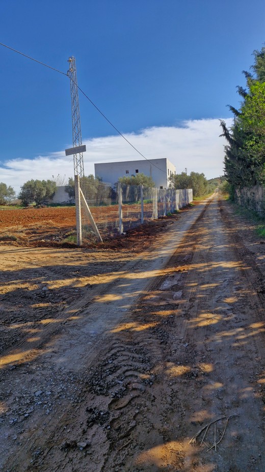 Sidi Thabet Sidi Thabet Terrain Terrain nu Terrain nu de 1000m2  sidi thabet