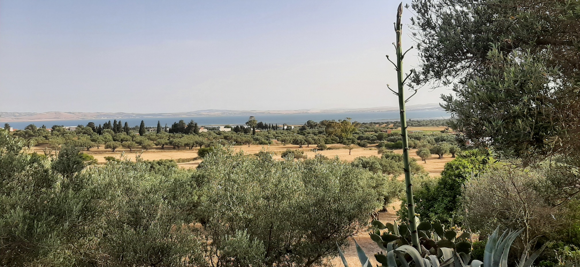 Menzel Jemil Menzel Abderrahman Terrain Terrain nu Terrain a chaara