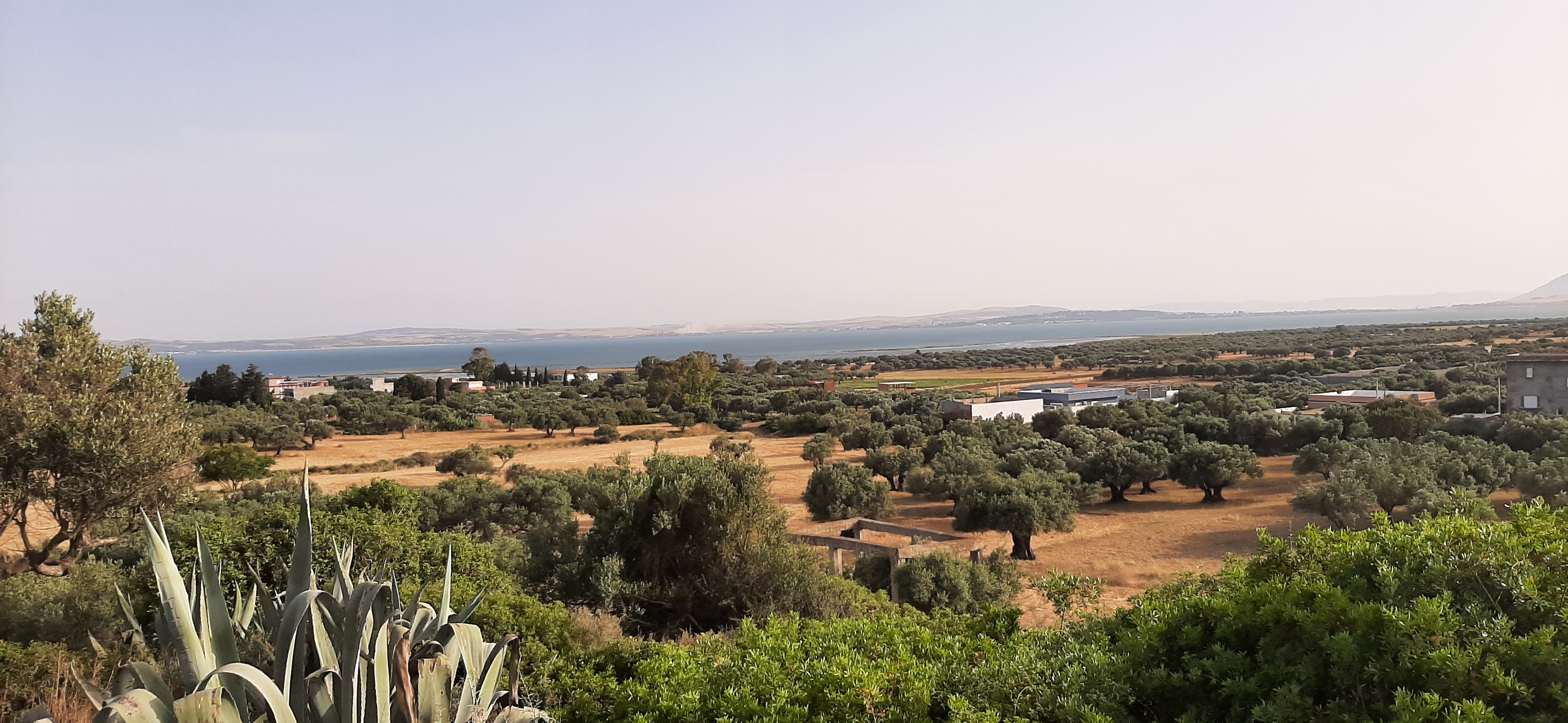 Menzel Jemil Menzel Abderrahman Terrain Terrain nu Terrain a chaara