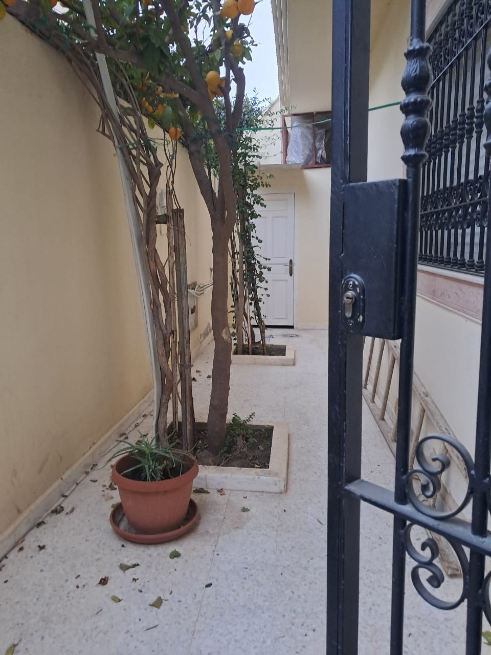 Carthage El Yasmina Location Appart. 2 pices tage de villa  carthage el yasmina