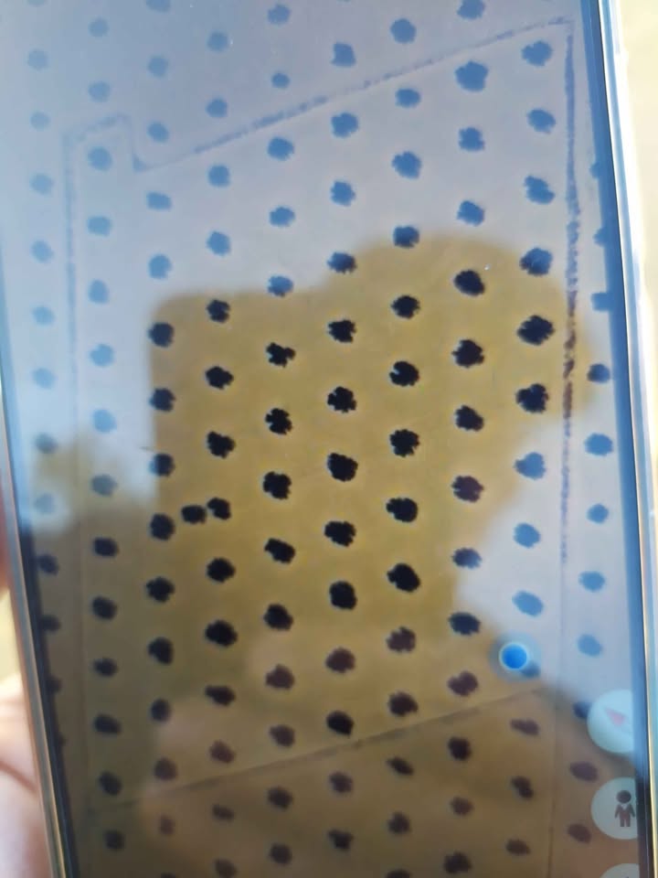 Menzel Chaker&nbsp;El Aitha&nbsp;Terrain&nbsp;Terrain agricole&nbsp;81 asl zitoun ala24