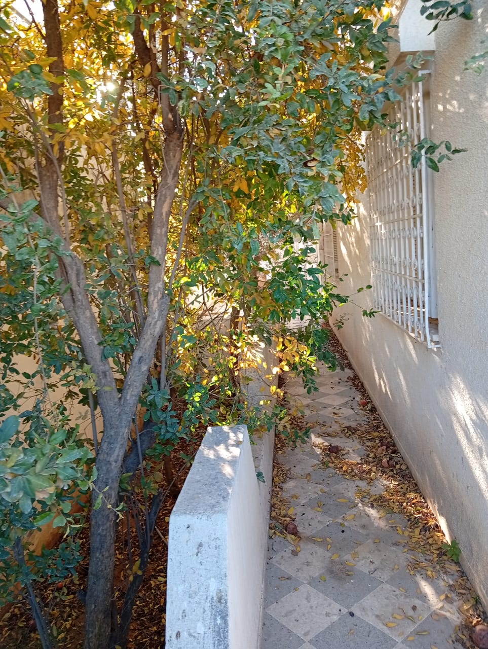 La Marsa&nbsp;Cite Bhar Lazreg&nbsp;Location&nbsp;Maisons&nbsp;Une grande maison � usage commerciale