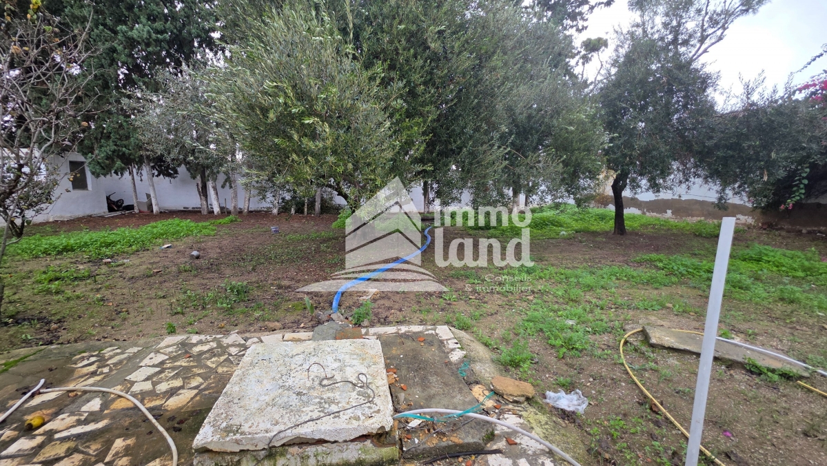 La Soukra&nbsp;Chotrana 1&nbsp;Location&nbsp;Maisons&nbsp;Villa s3 avec jardin � la soukra