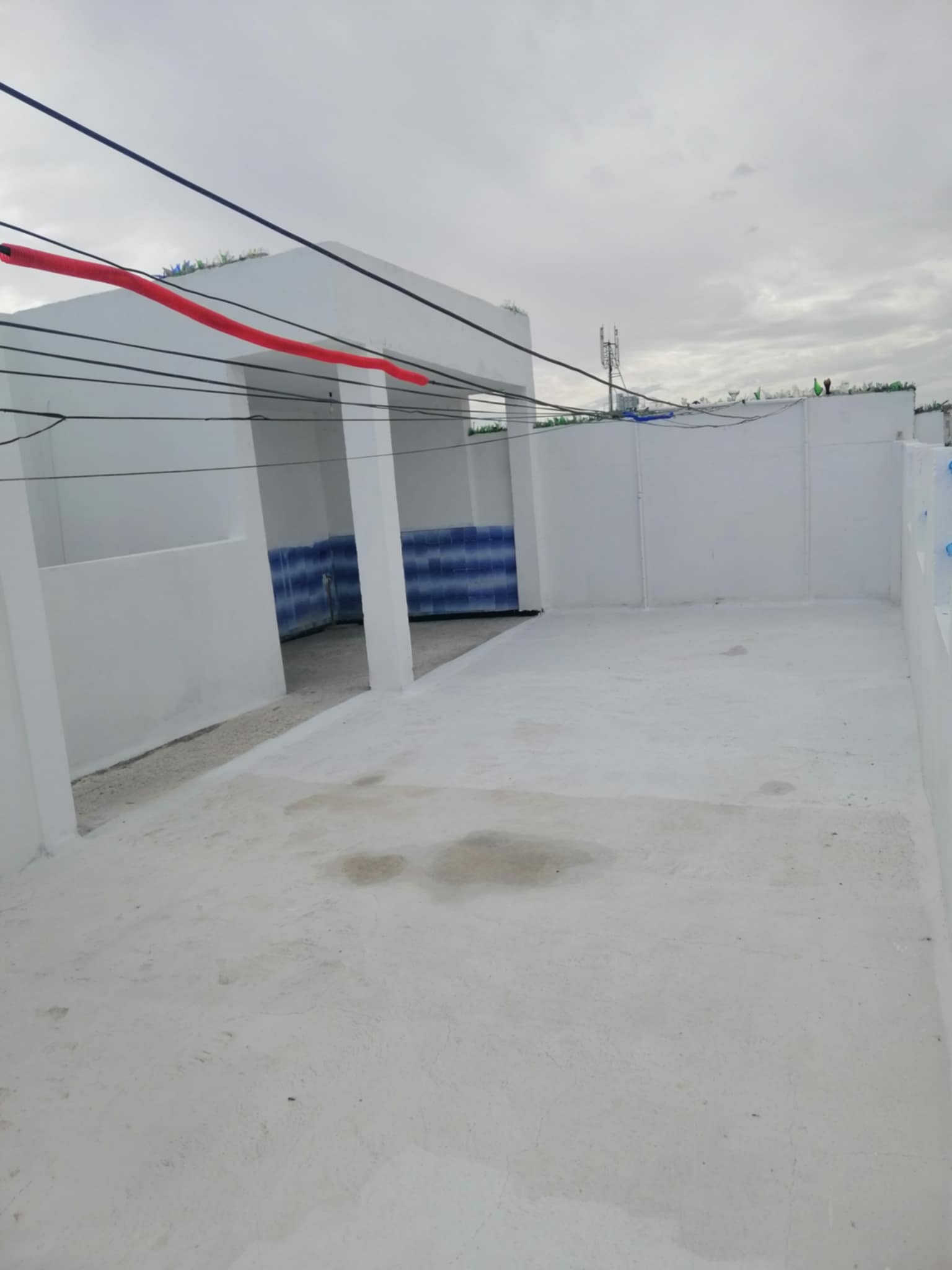 Sousse Ville&nbsp;Cite Jaouhara&nbsp;Vente&nbsp;Maisons&nbsp;Grande batiment contient 2 maison s 3