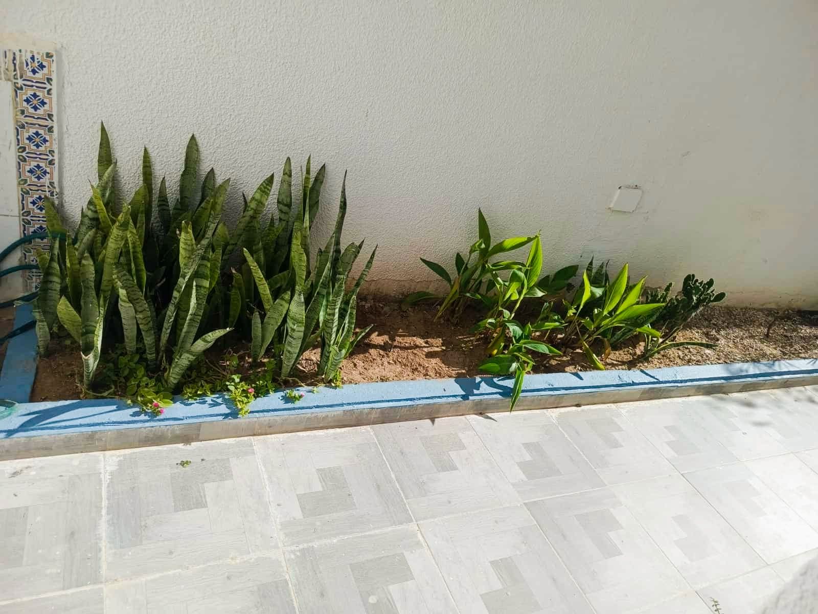 Ariana Ville Cite Ennasr 2 Location Maisons Joli etage villa s4 bien situ