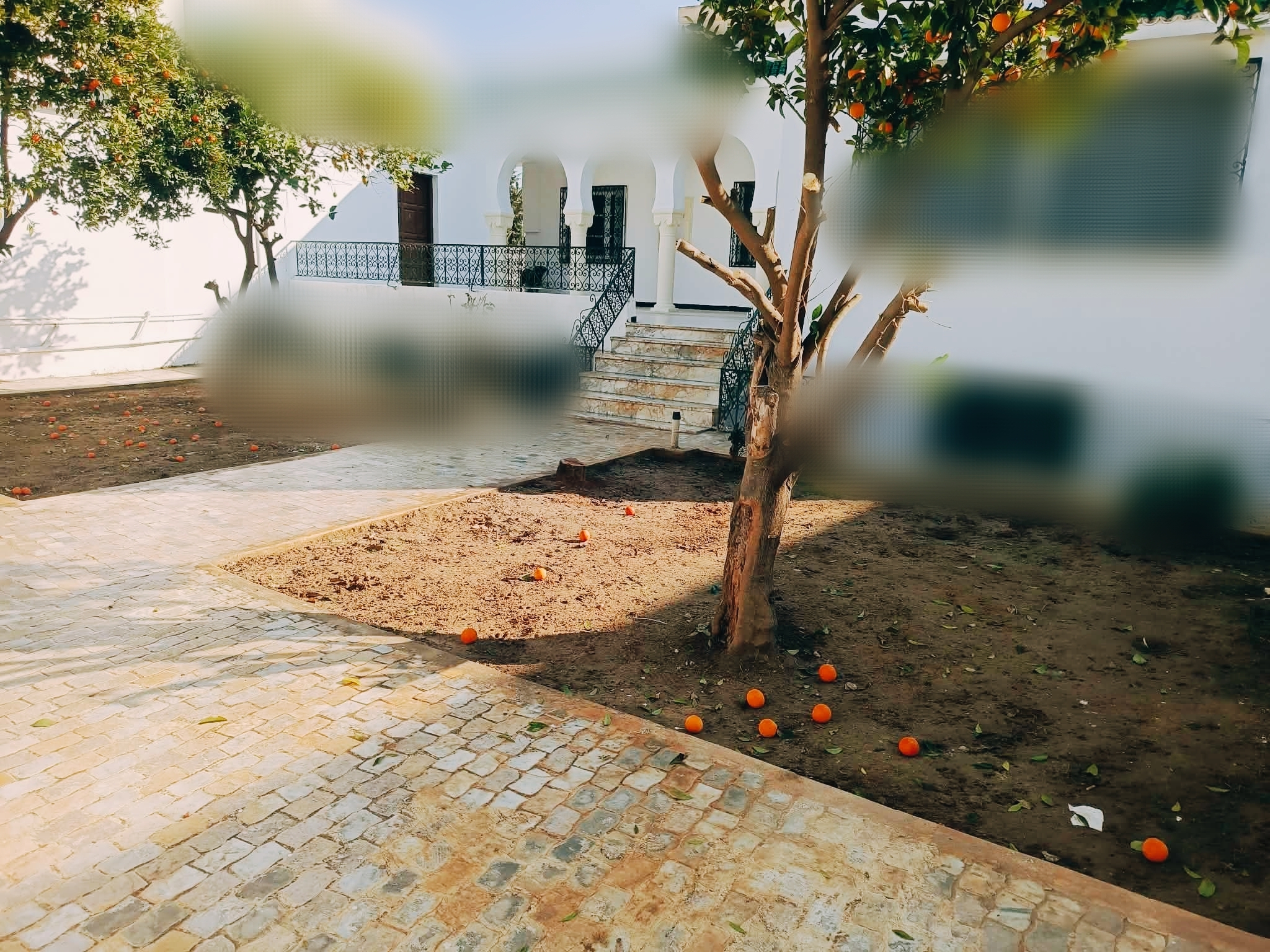 Ariana Ville El Menzah 6 Location Maisons Menzah 6 rdc de villa s 4 bien situ