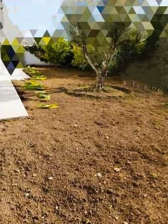 Ariana Ville&nbsp;El Menzah 7&nbsp;Location&nbsp;Maisons&nbsp;Rdc de villa avec grand jardin � menzah 7