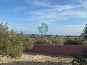 Nabeul Nabeul Vente Surfaces    terrain de 733m vue de mer ref637a