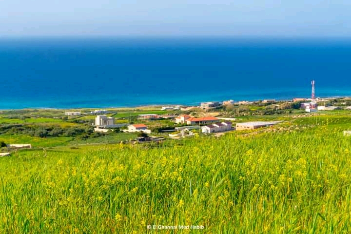 Ras Jebel&nbsp;Metline&nbsp;Vente&nbsp;Surfaces&nbsp;A partir de1000 m vue mer