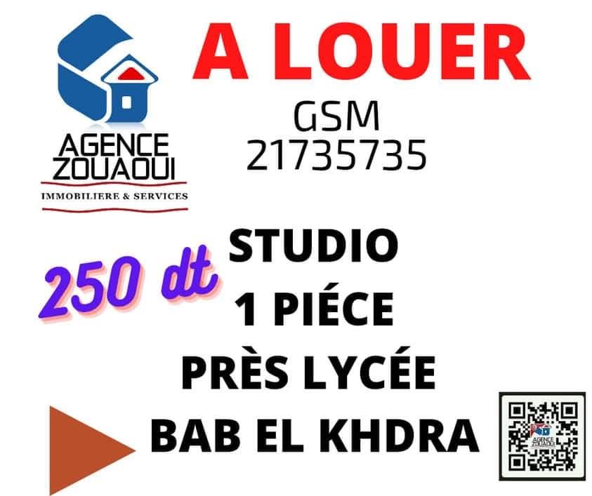 Bab Bhar Hedi Chaker Location Appart. 1 pice Studio pour fonctionnaires serieux 250 dt